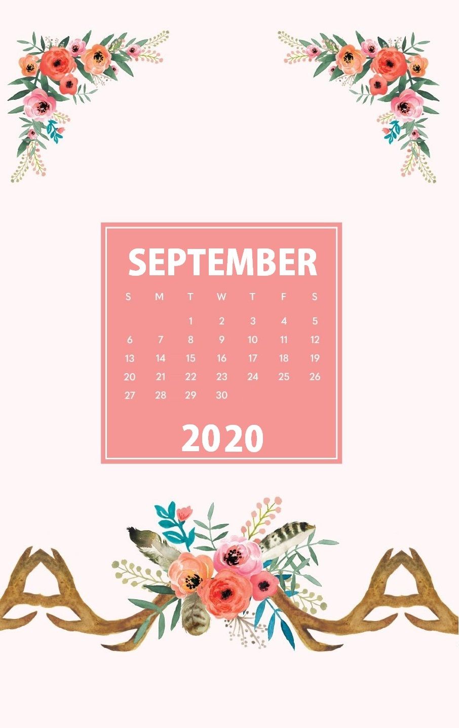 iPhone September 2020 Wallpaper