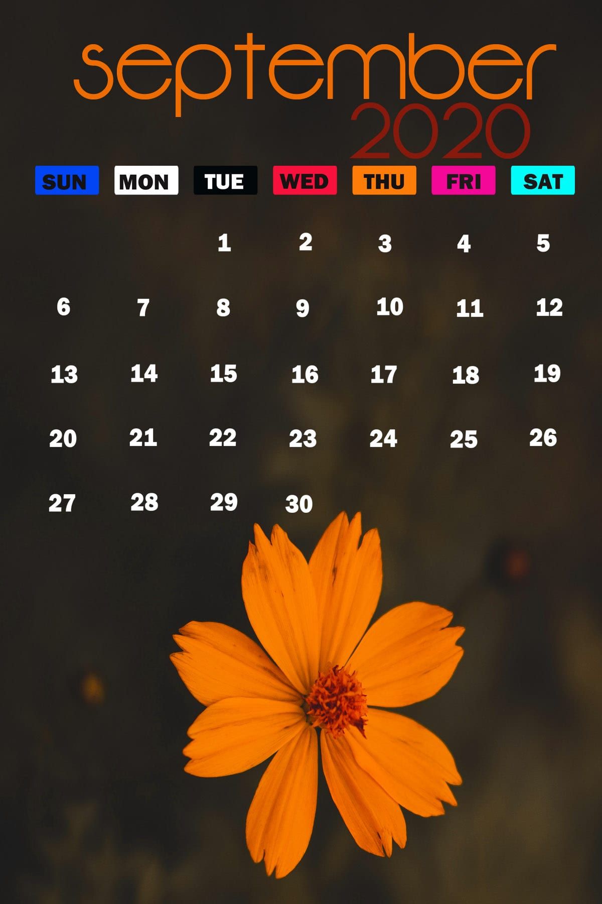 September 2020 Calendar Wallpaper For Desktop & iPhone