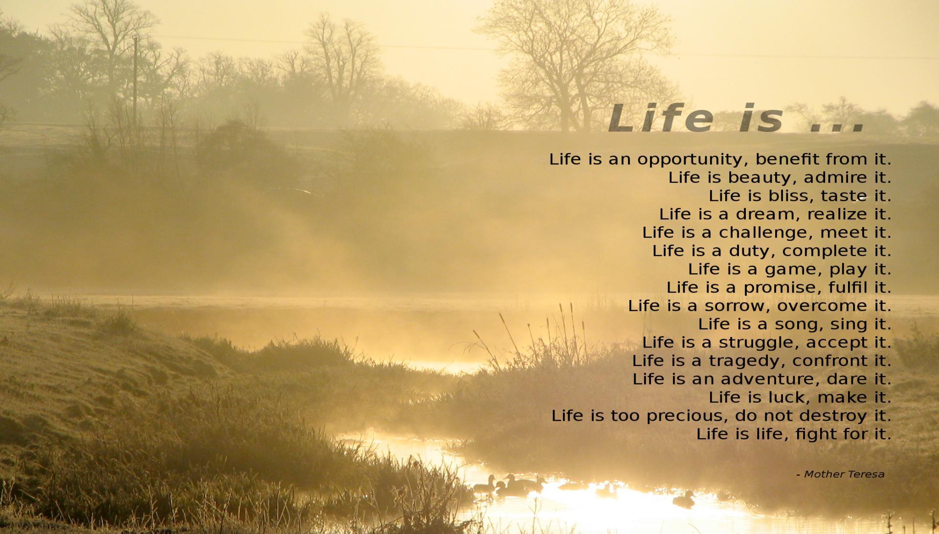 Motivational wallpaper With Life Quotes By Mother Teresa. Dont