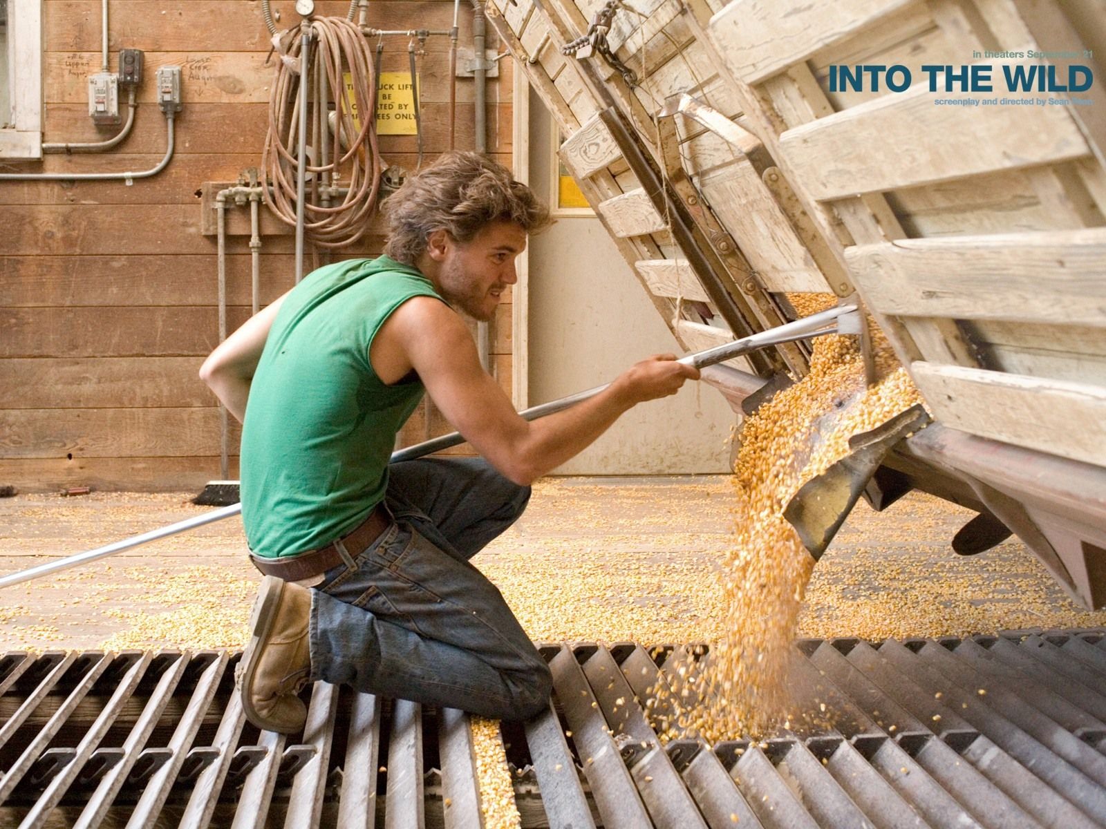 Desktop Wallpaper the Wild. Free Desktop