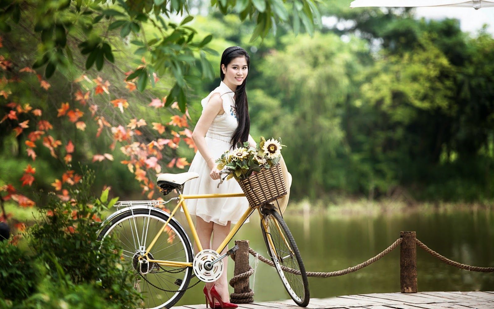 Get All Kind of Tips and Software, Free android Apps, Free Blog