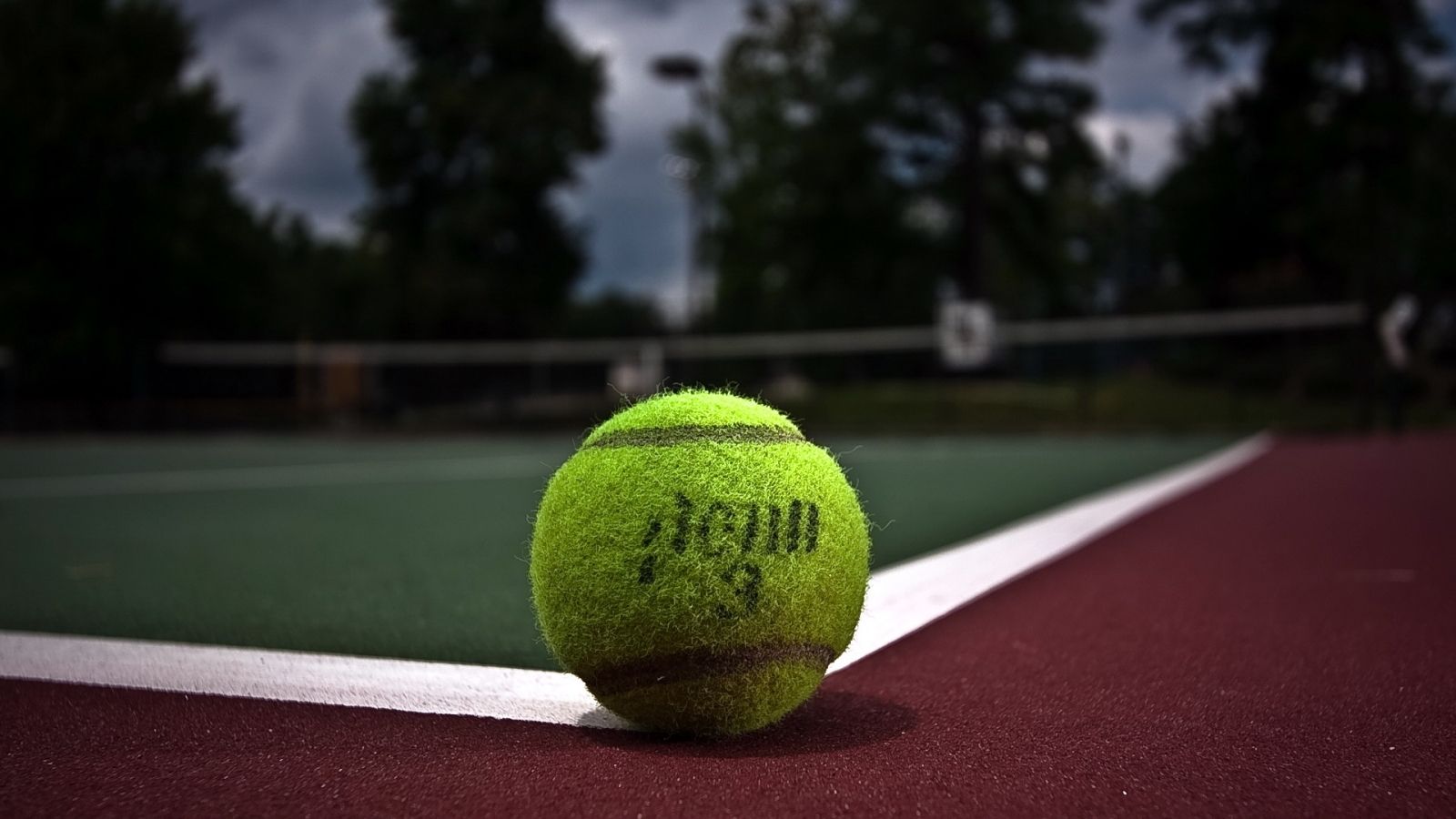 Free download Wallpaper tennis ball court wallpaper sports