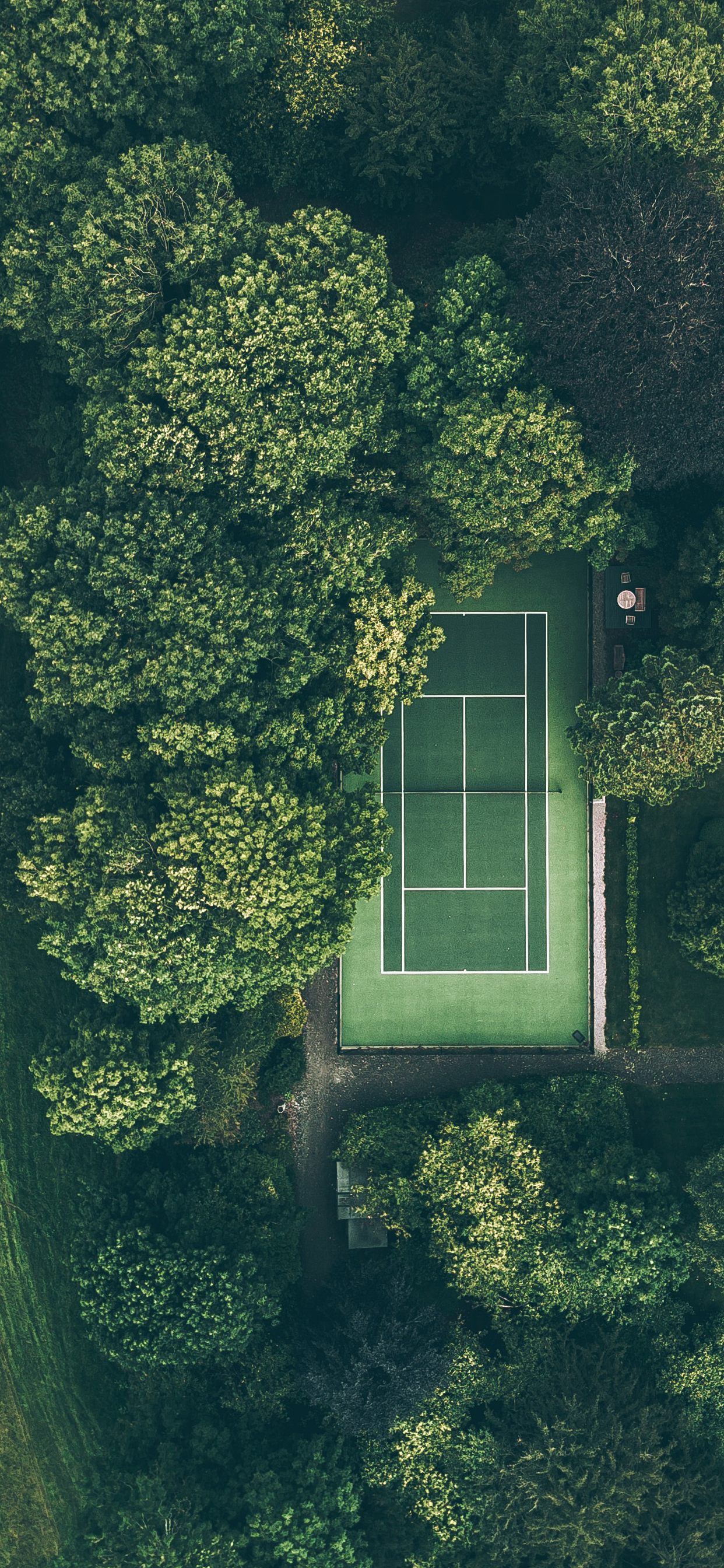 Tennis Wallpaper iPhone