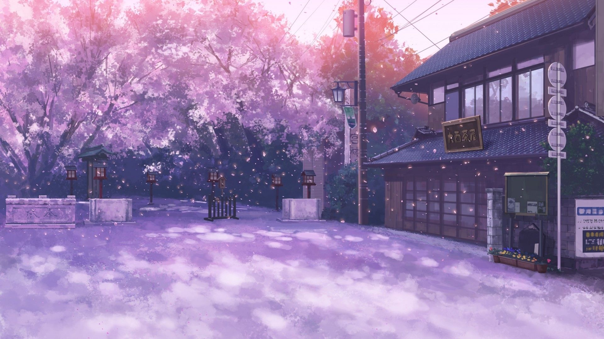 Anime Scenery Cherry Blossoms Wallpaper