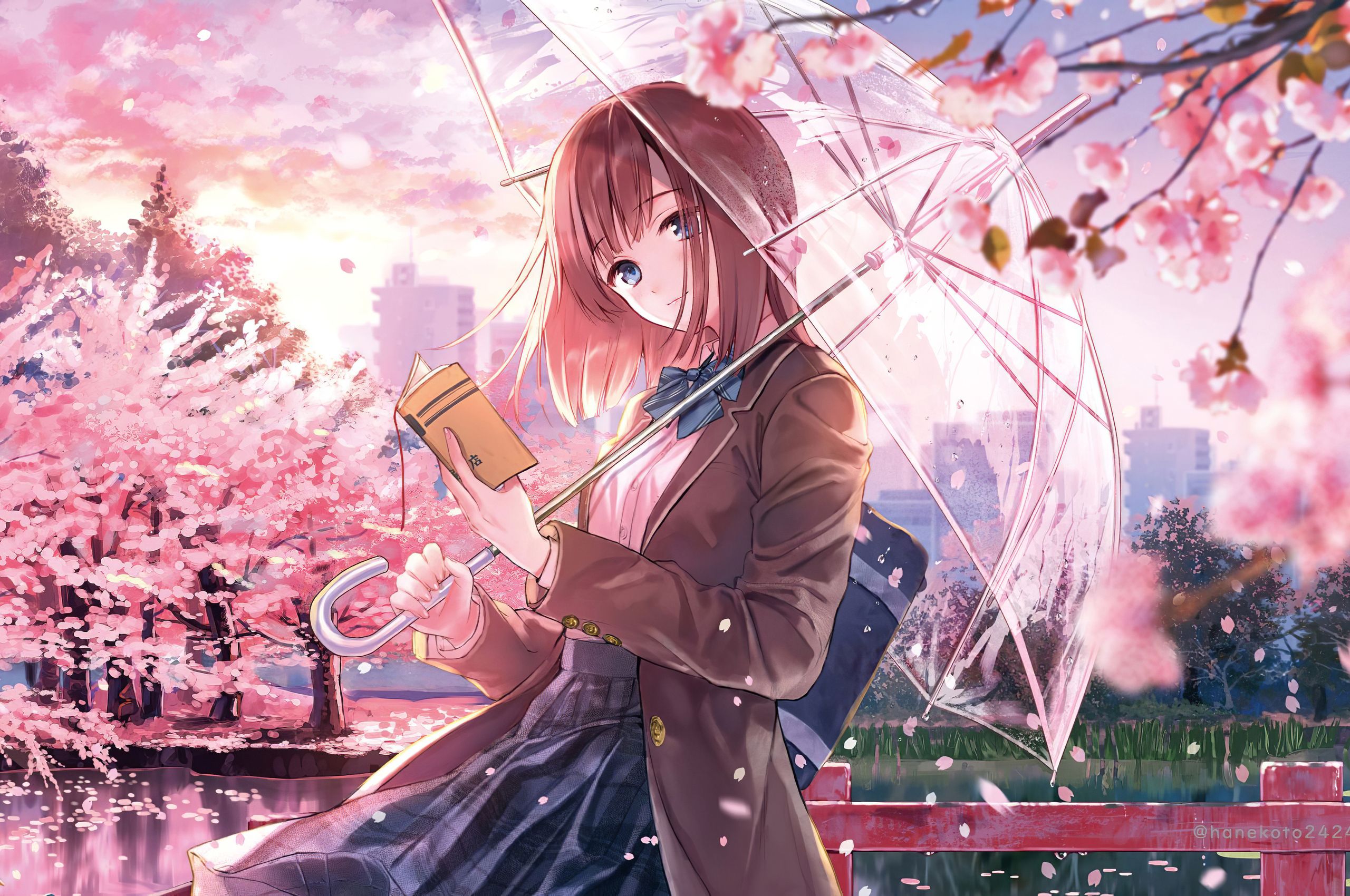 Anime Girl Cherry Blossom Season 5k Chromebook Pixel HD 4k Wallpaper, Image, Background, Photo and Picture
