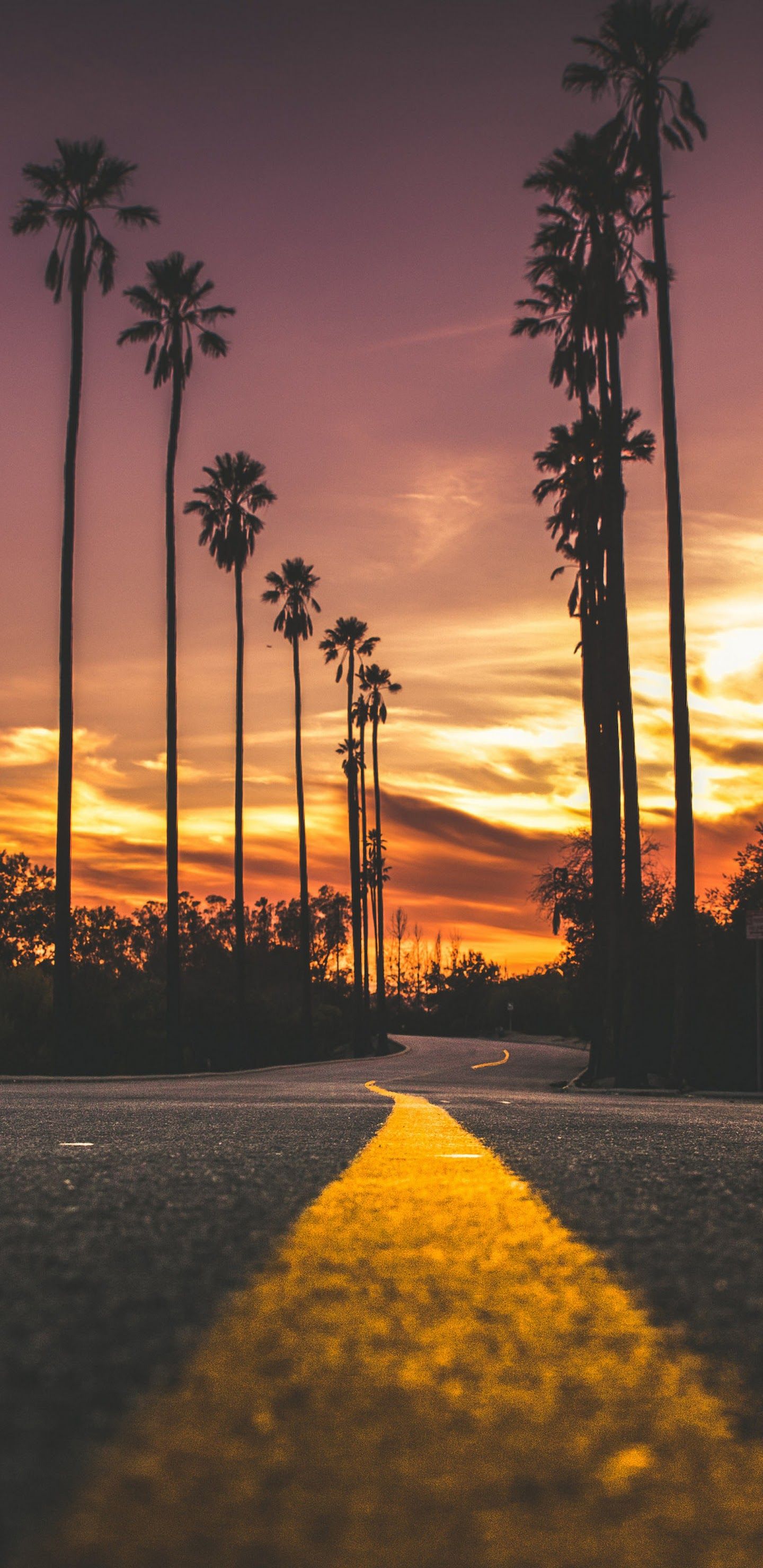 Sunset Road Landscape Scenery 4K Wallpaper