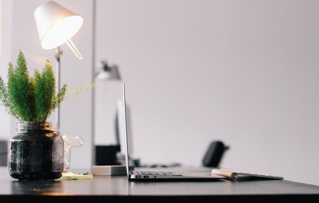 Wallpaper glass, table, furniture, plant, Mac, bottle, lamp