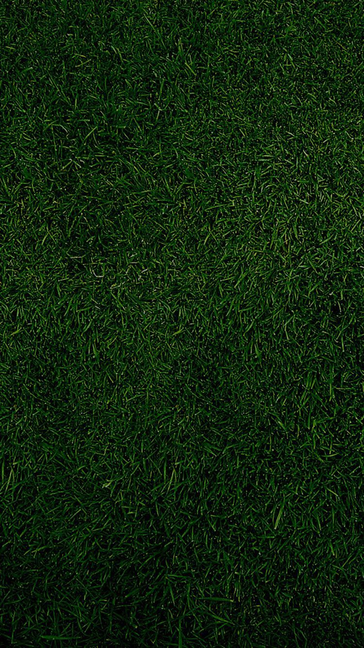 HD Green iPhone Wallpaper. Olive green wallpaper, iPhone