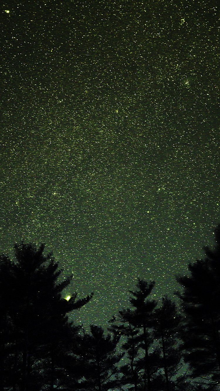 Night Sky Star Space Starry Wood Dark Green Romantic Wallpaper