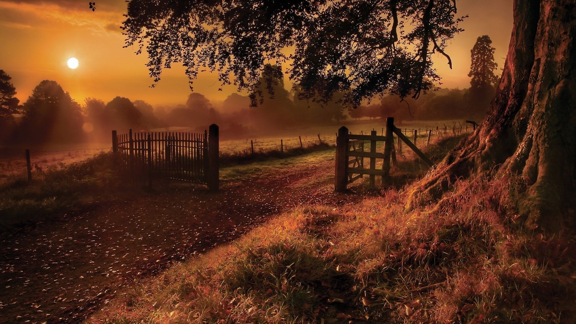 Autumn Wallpaper. Best Wallpaper. Autumn landscape, Sunrise photography, Landscape wallpaper