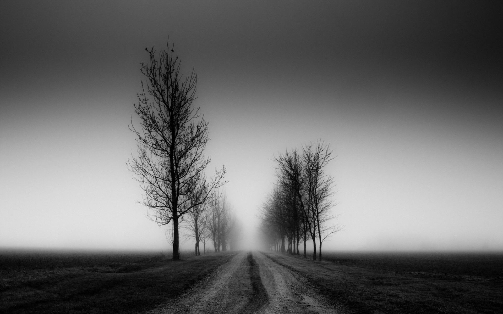 Free download Black and White Wallpaper Best HD Wallpaper [1920x1200] for your Desktop, Mobile & Tablet. Explore White And Black Wallpaper. Cool Black And White Wallpaper, Best Black And