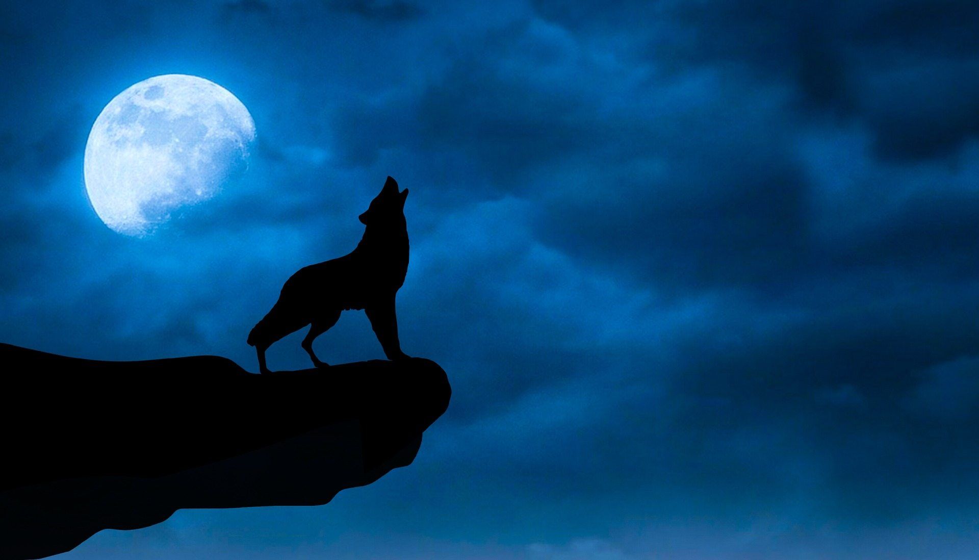 Wolf And Moon Wallpapers posted by Ryan Anderson.