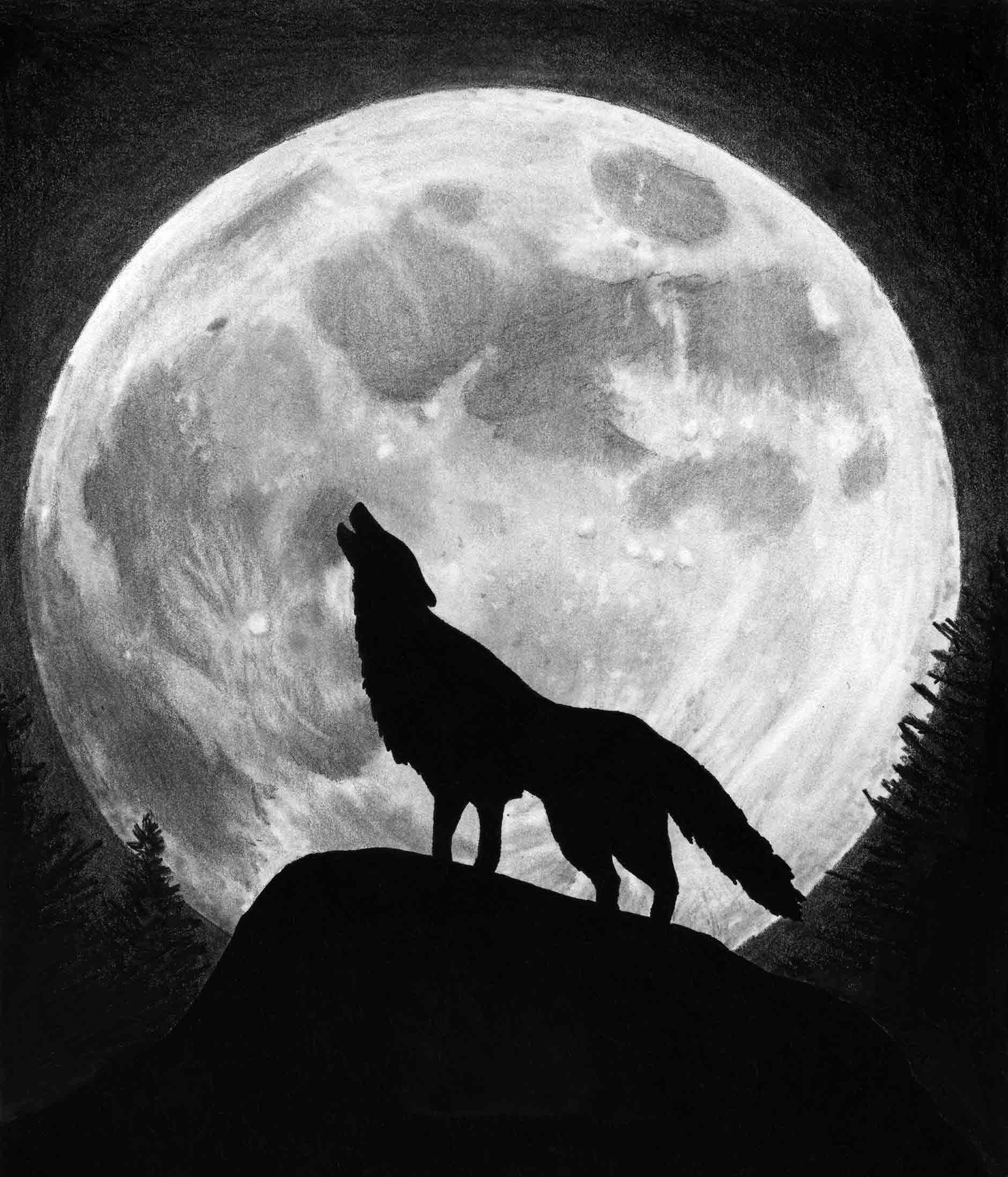 Free download Wolf Moon Picture HD Wallpaper and Picture [1880x2195] for your Desktop, Mobile & Tablet. Explore Wolf Moon Wallpaper. Wolves Wallpaper for Desktop, Wolf Wallpaper, 1080P Wolf Wallpaper
