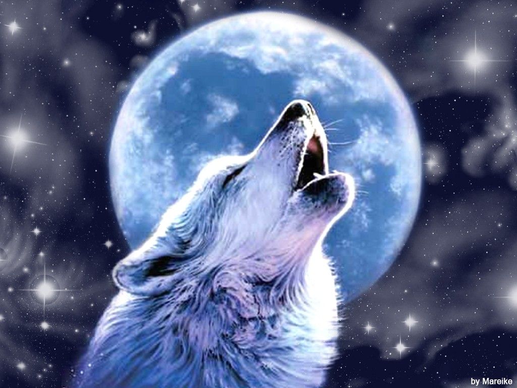 Wolves Howling Wallpaper, wallpaper, Wolves Howling Wallpaper HD 749 - Moon And Wolf Wallpaper