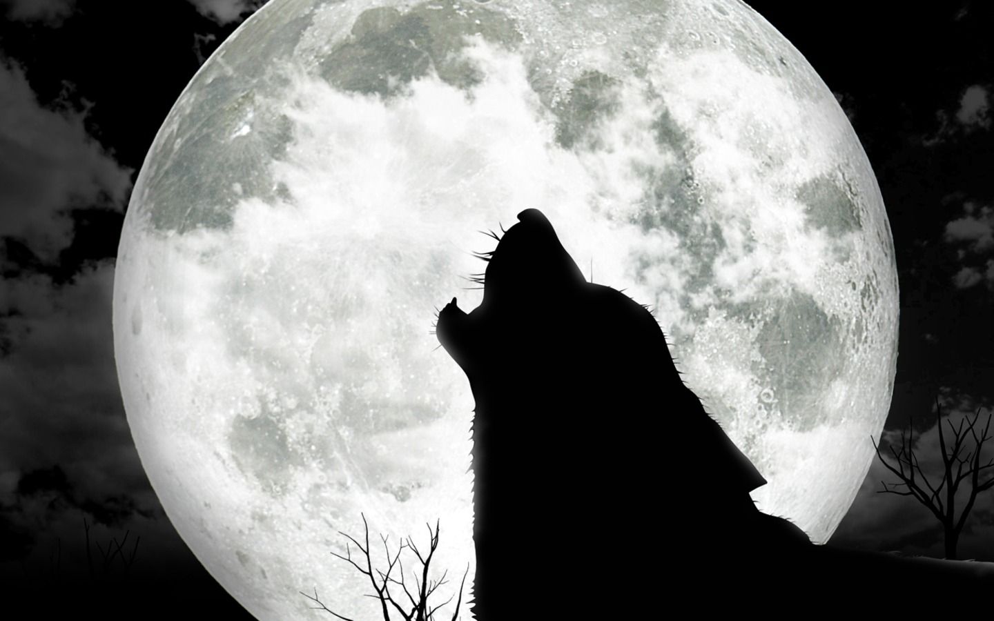 Hd full moon wolf wallpaper