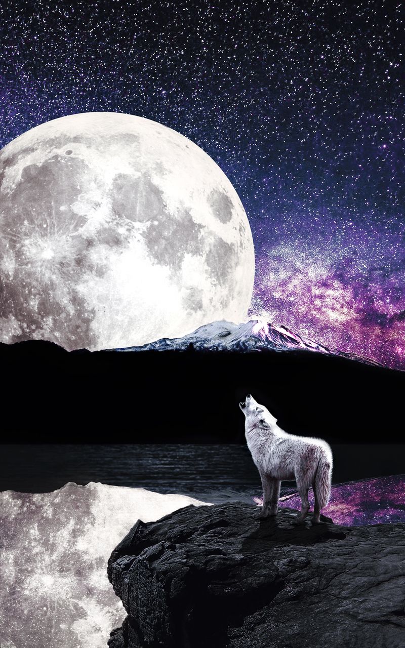 Wolf Moon River Nexus Samsung Galaxy Tab Note Android Tablets HD 4k Wallpaper, Image, Background, Photo and Picture