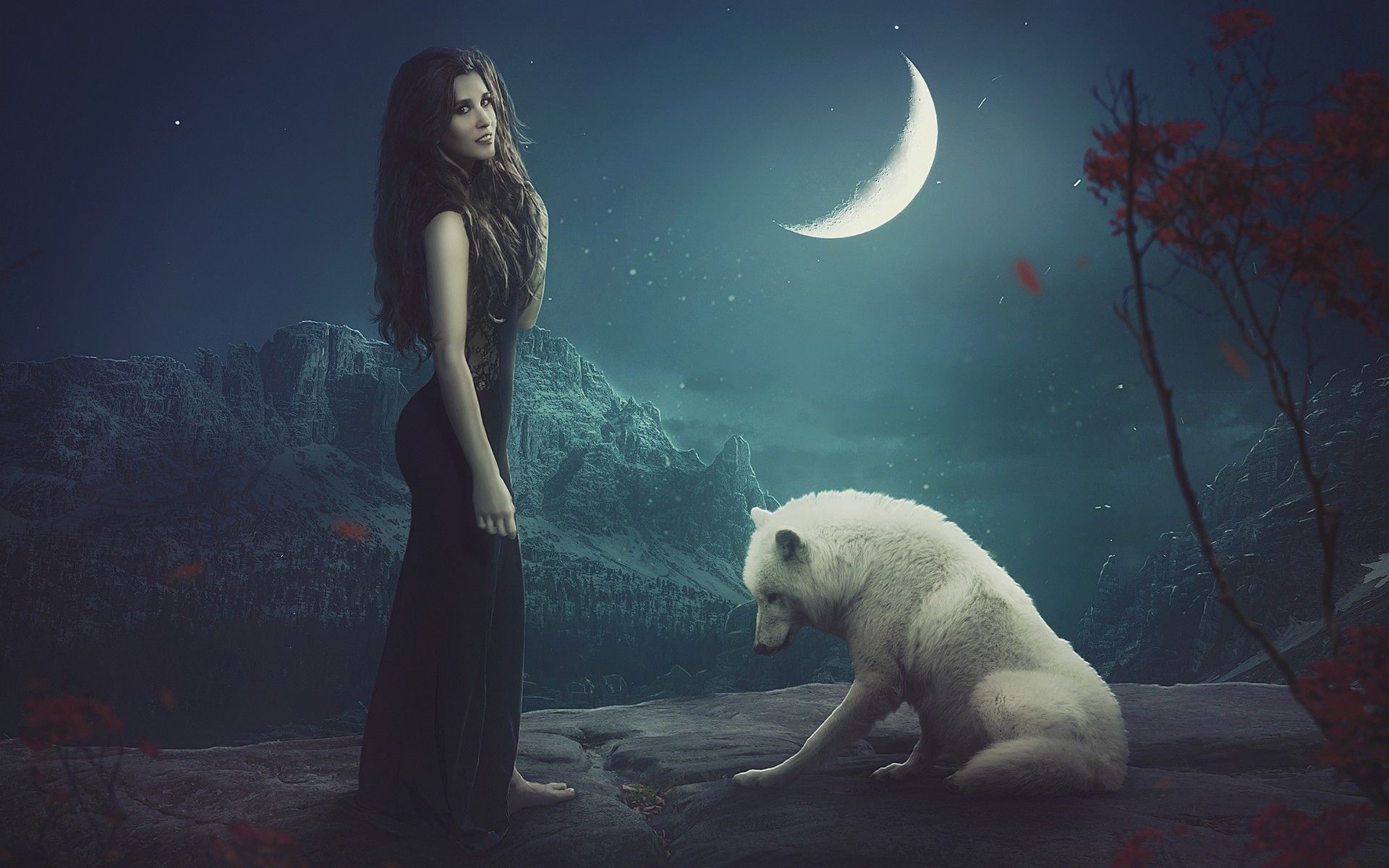 Wallpaper White wolf, Moon, Beautiful girl, HD, Fantasy / Editor's Picks,. Wallpaper for iPhone, Android, Mobile and Desktop