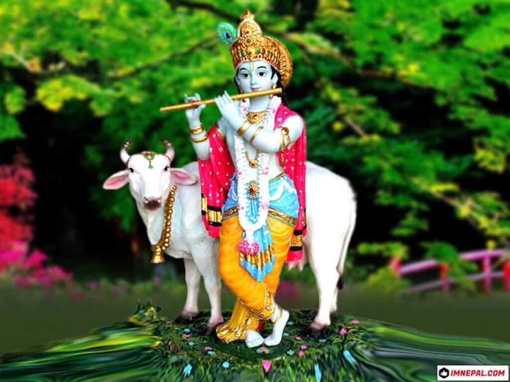 Krishna With Cow Wallpapers - Wallpaper Cave