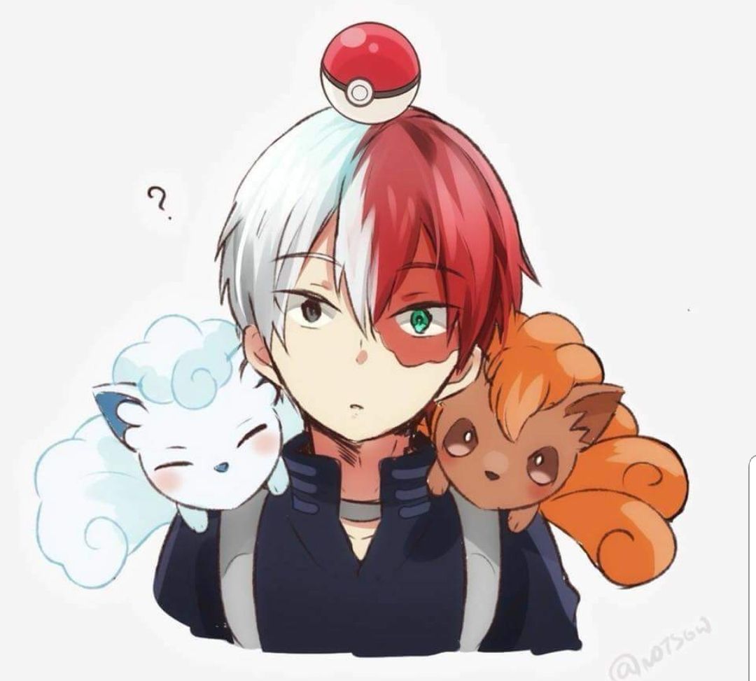 Todoroki Pokemon Trainer (not my image but I thought it was cute)