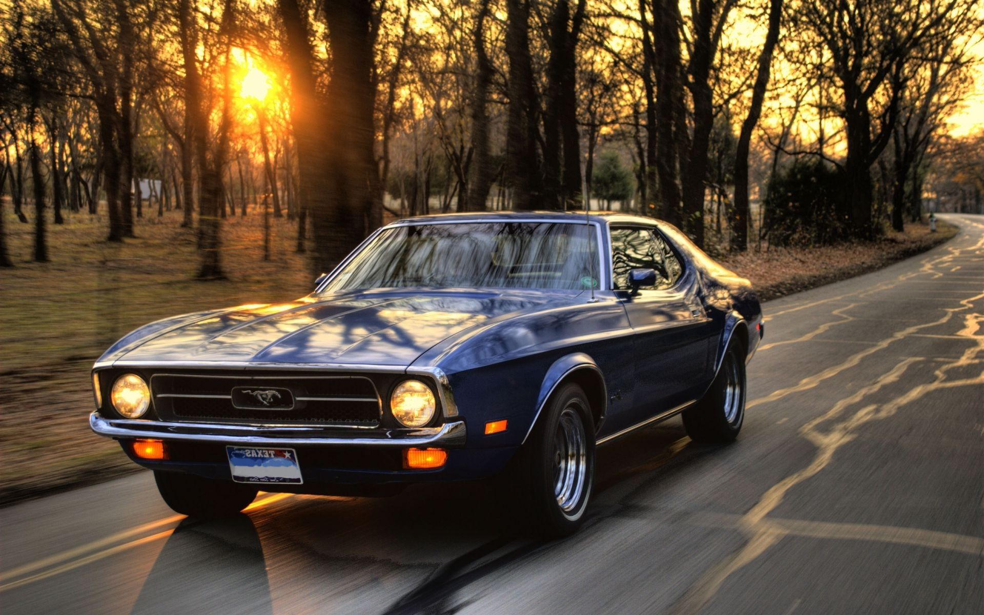Ford Mustang rides at sunset on the road
