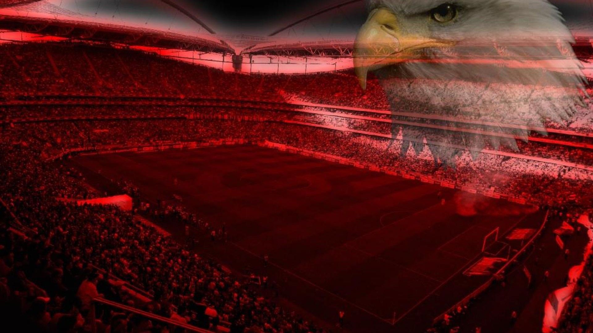 Download 1920x1080 Estadio da Luz SL Benfica Wallpaper