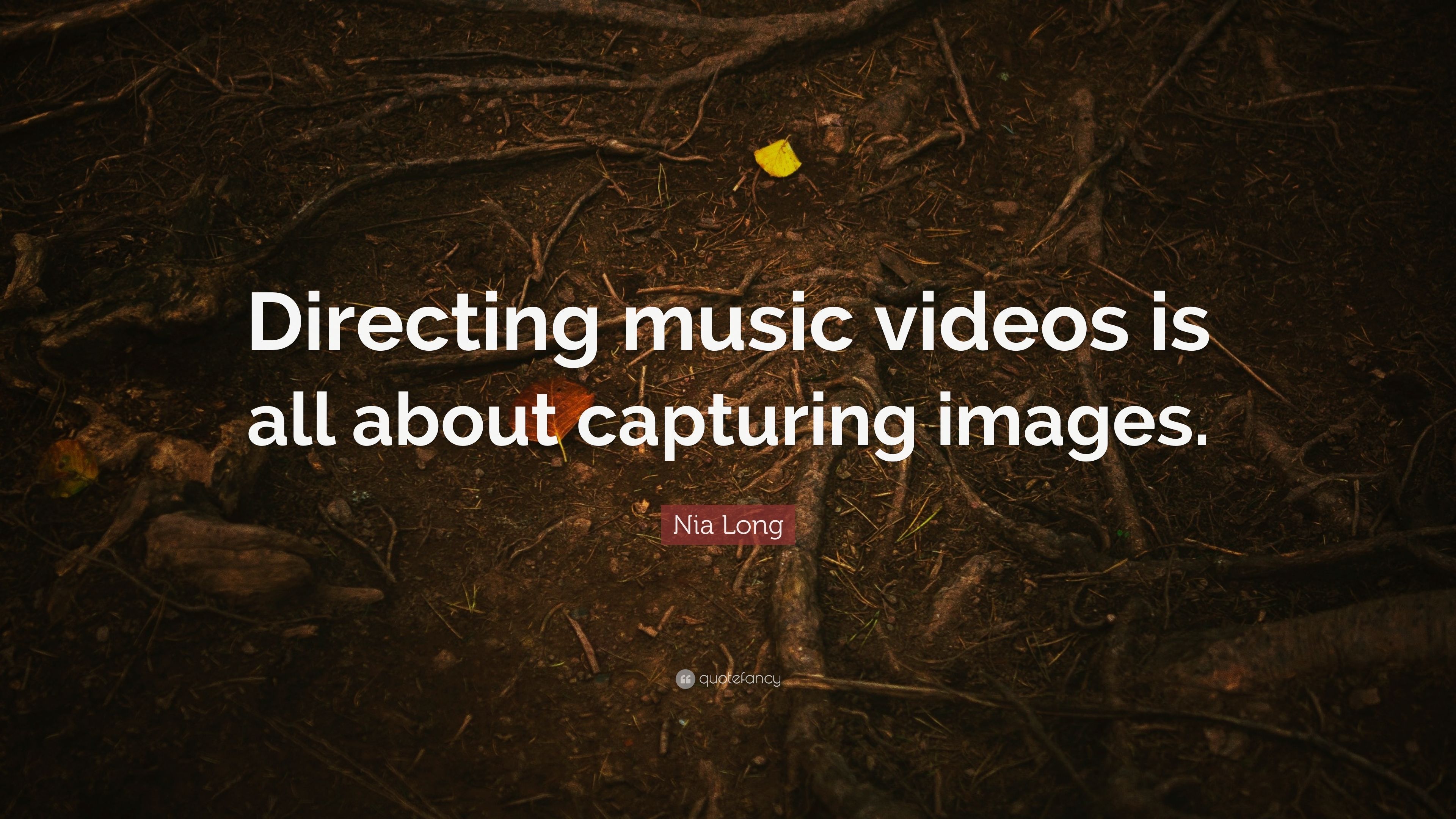 Nia Long Quote: “Directing music videos is all about capturing image.” (7 wallpaper)