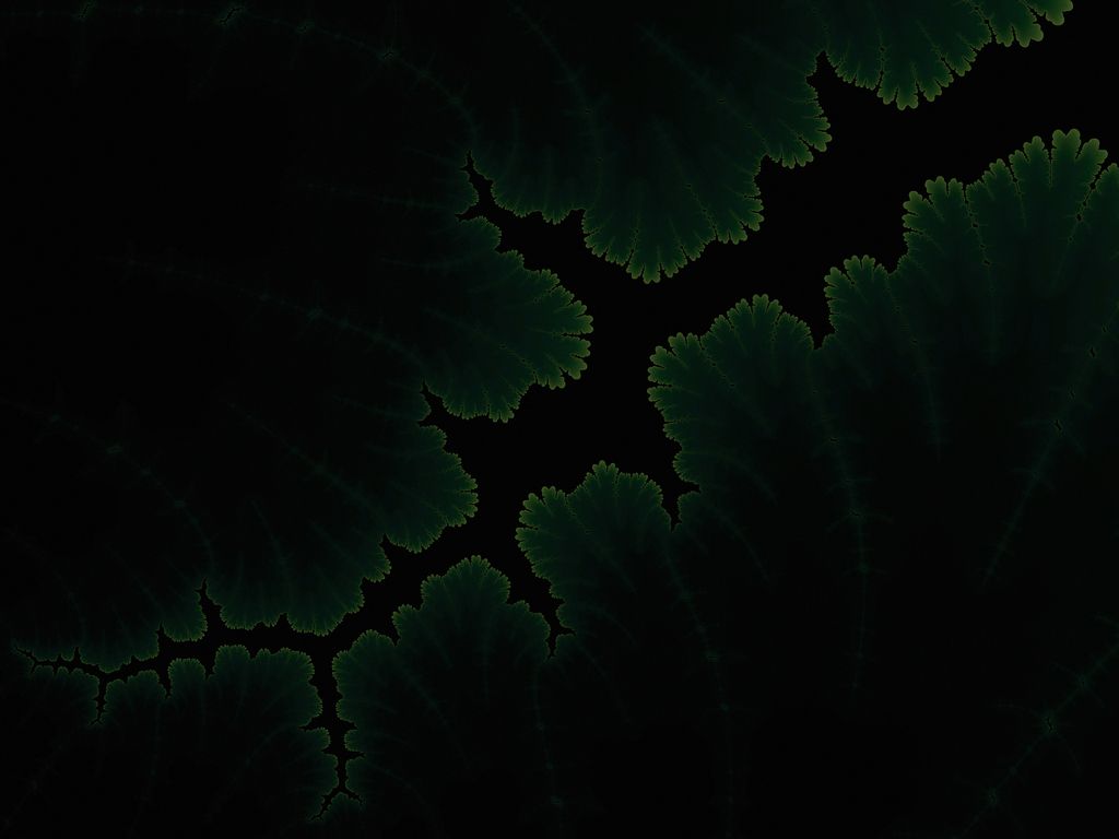 Amoled Plant Wallpapers - Wallpaper Cave