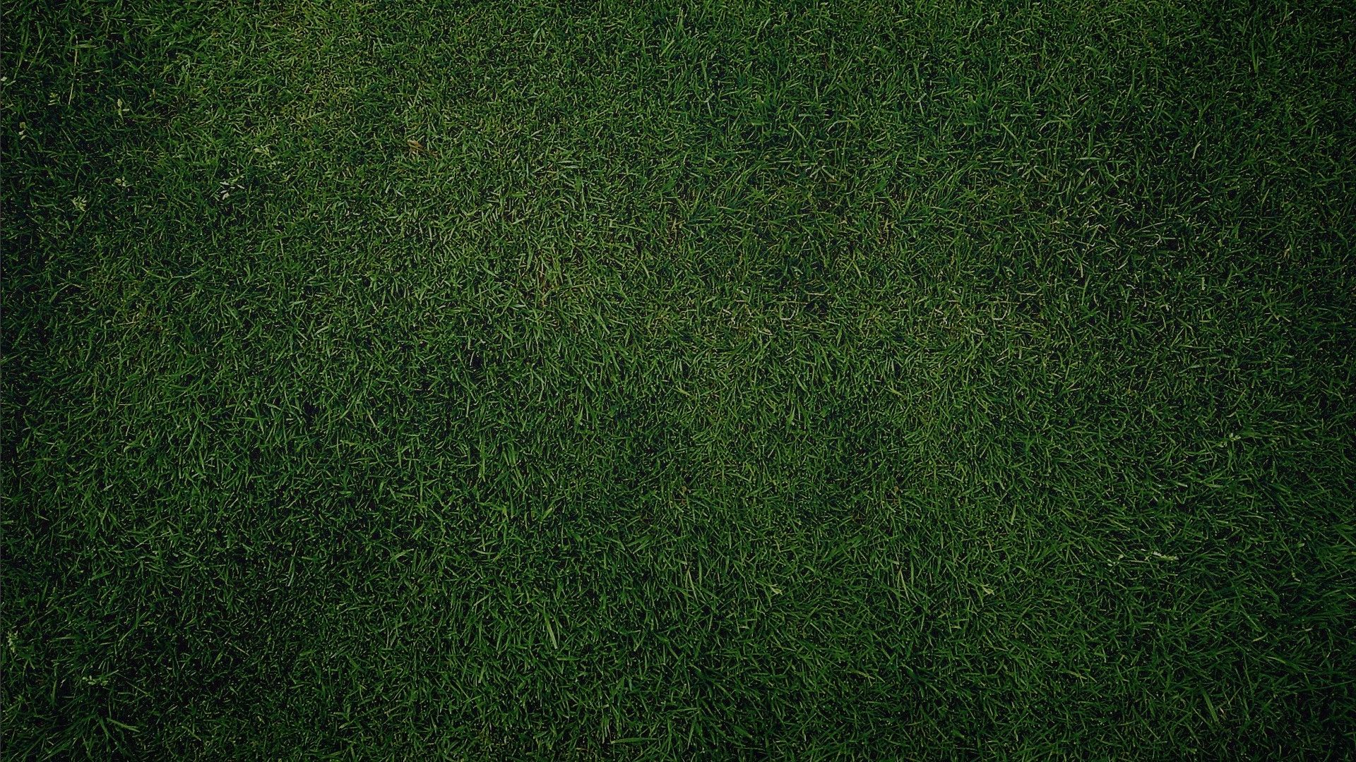 Free download Showing Gallery For Grass Top View Wallpaper HD [1920x1080] for your Desktop, Mobile & Tablet. Explore HD Grass Wallpaper. Green Grass Wallpaper, Grass and Sky Wallpaper, Grass Wallpaper Image