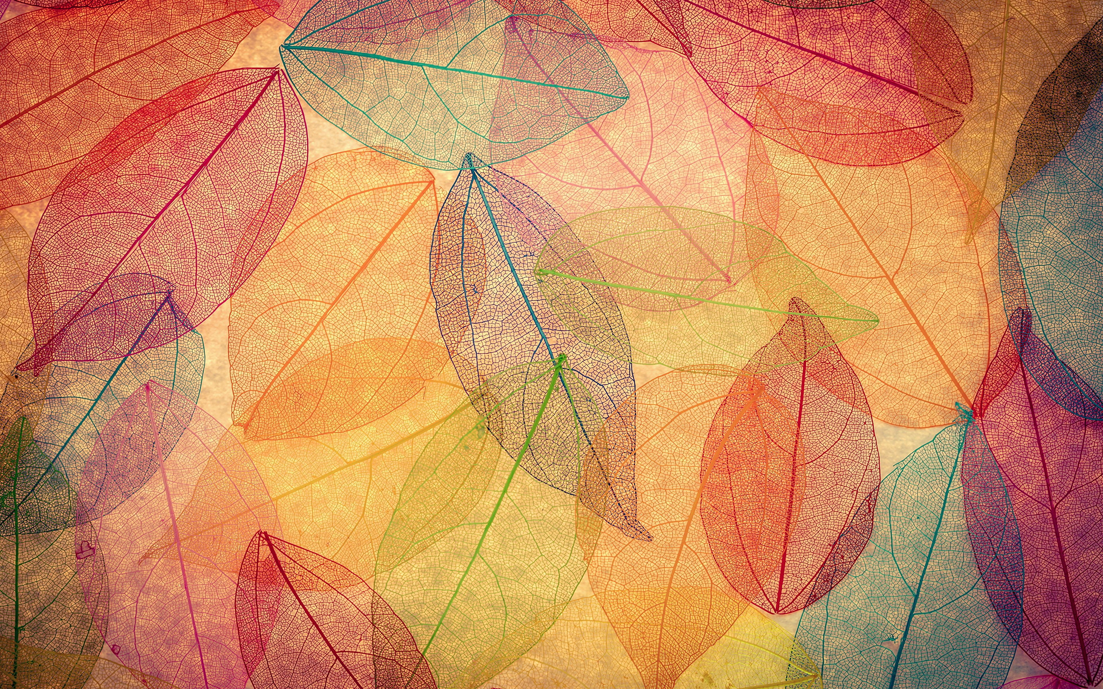 Abstract Autumn Wallpapers - Wallpaper Cave