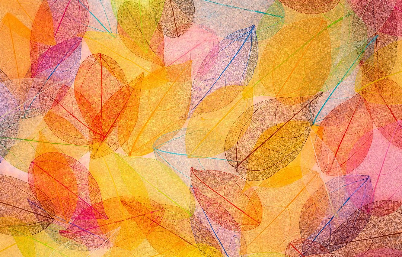 Wallpaper leaves, background, colorful, abstract, autumn, leaves, autumn, transparent image for desktop, section текстуры