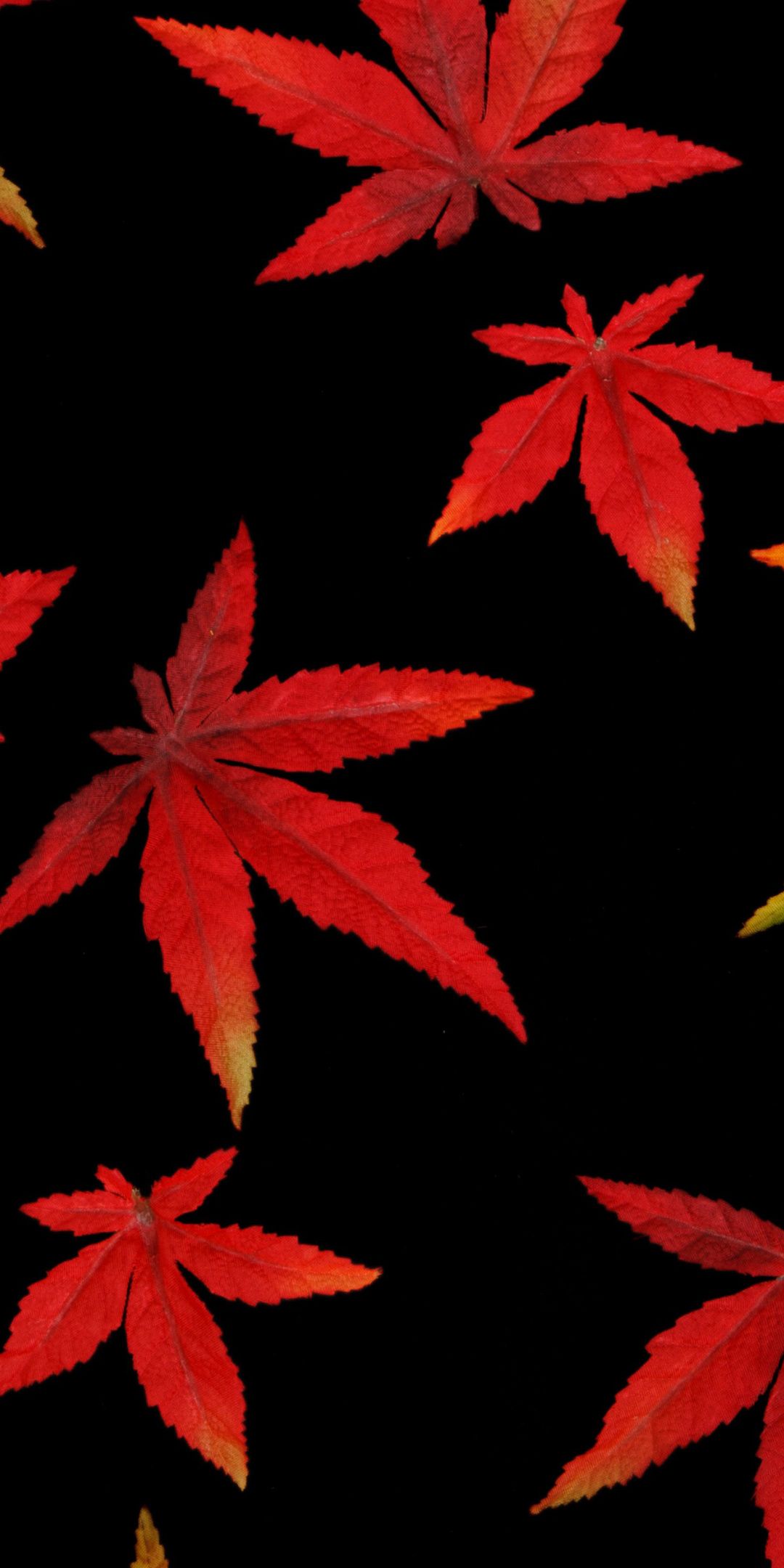 Autumn, leaves, abstract wallpaper. Abstract wallpaper, Abstract, Art wallpaper