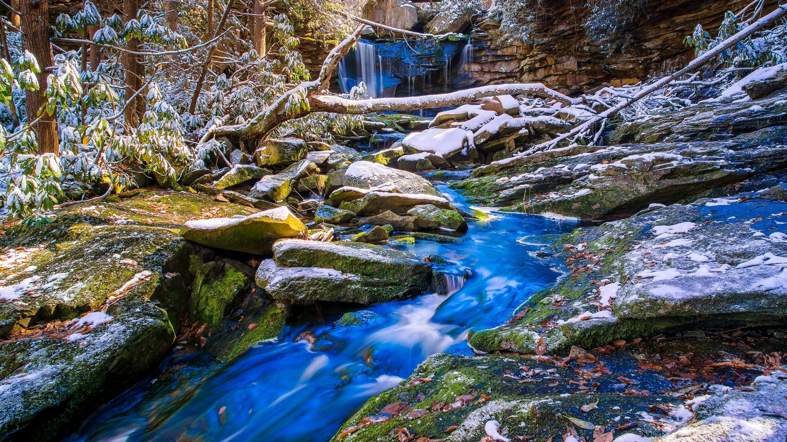 Wallpaper Water Stream, Forest, Blue, Rocks, HD, Nature,. Wallpaper for iPhone, Android, Mobile and Desktop