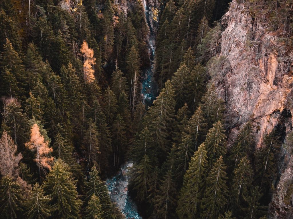 Desktop wallpaper aerial view, forest, water stream, pine trees, river, HD image, picture, background, 69cbf6