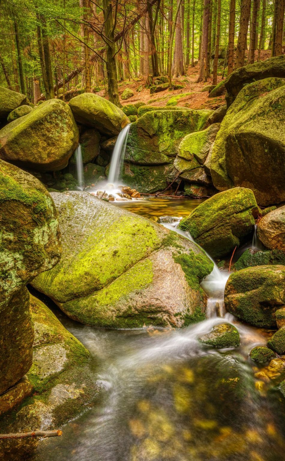 Forest Water Stream Wallpapers - Wallpaper Cave