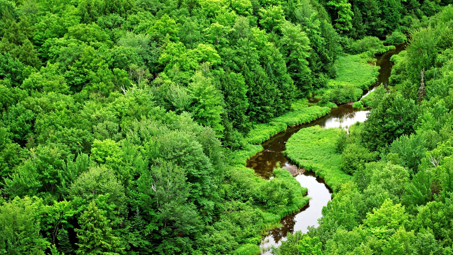 Meandering Stream Wallpaper Landscape Nature Wallpaper in jpg format for free download