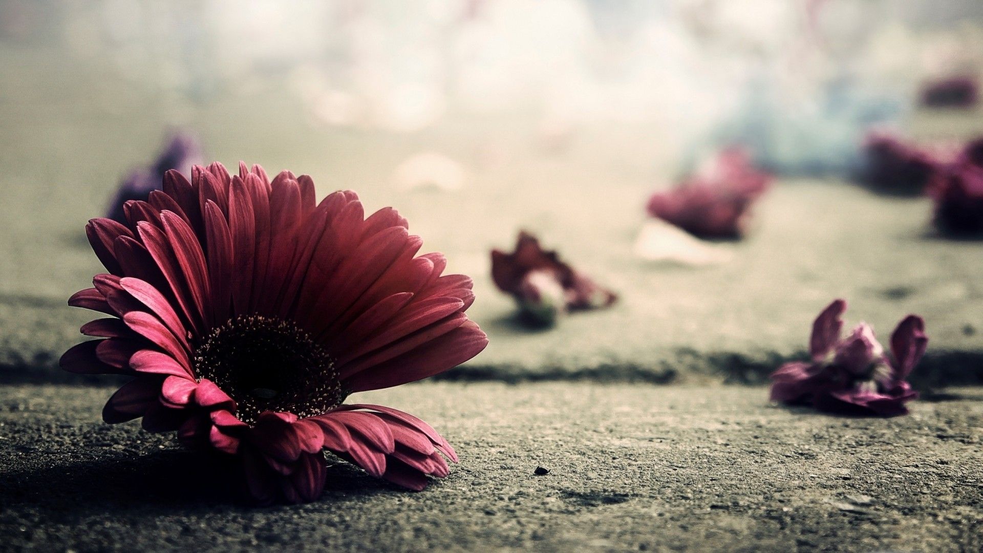 Vintage Wallpaper HD