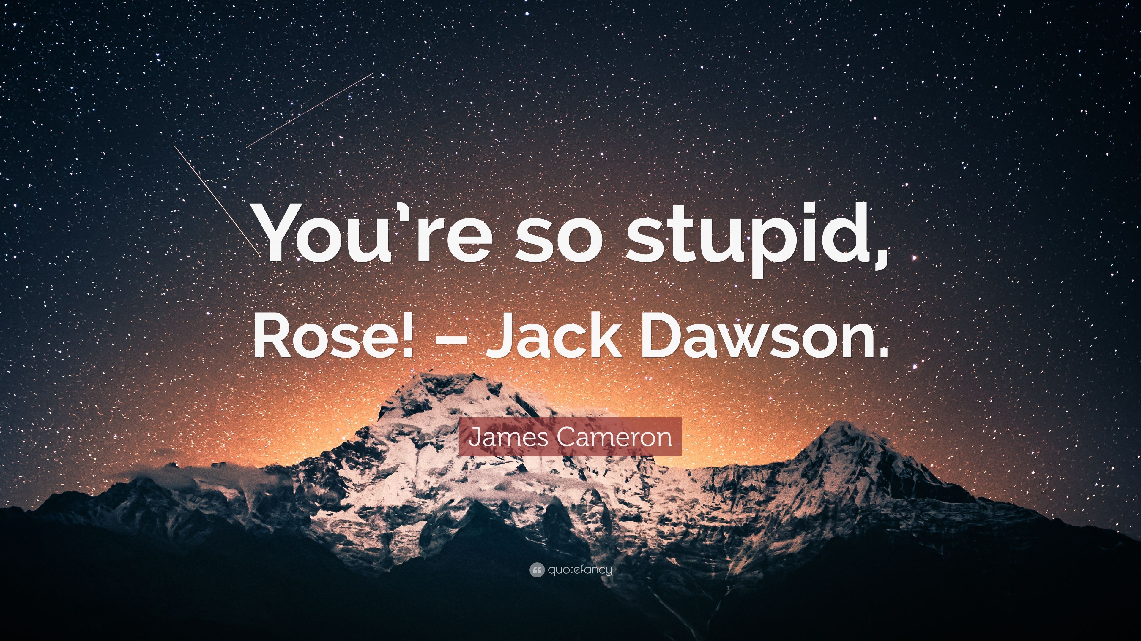 James Cameron Quote: “You're so stupid, Rose!