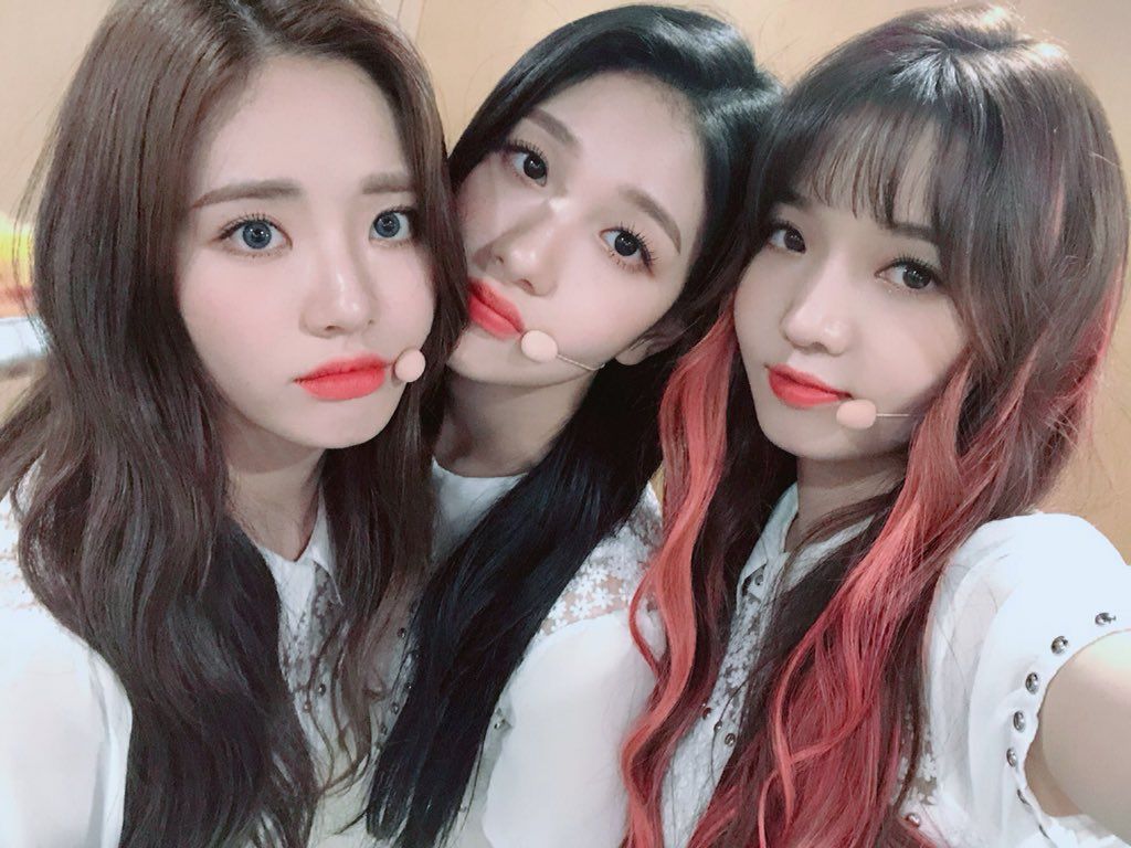roh jisun PH