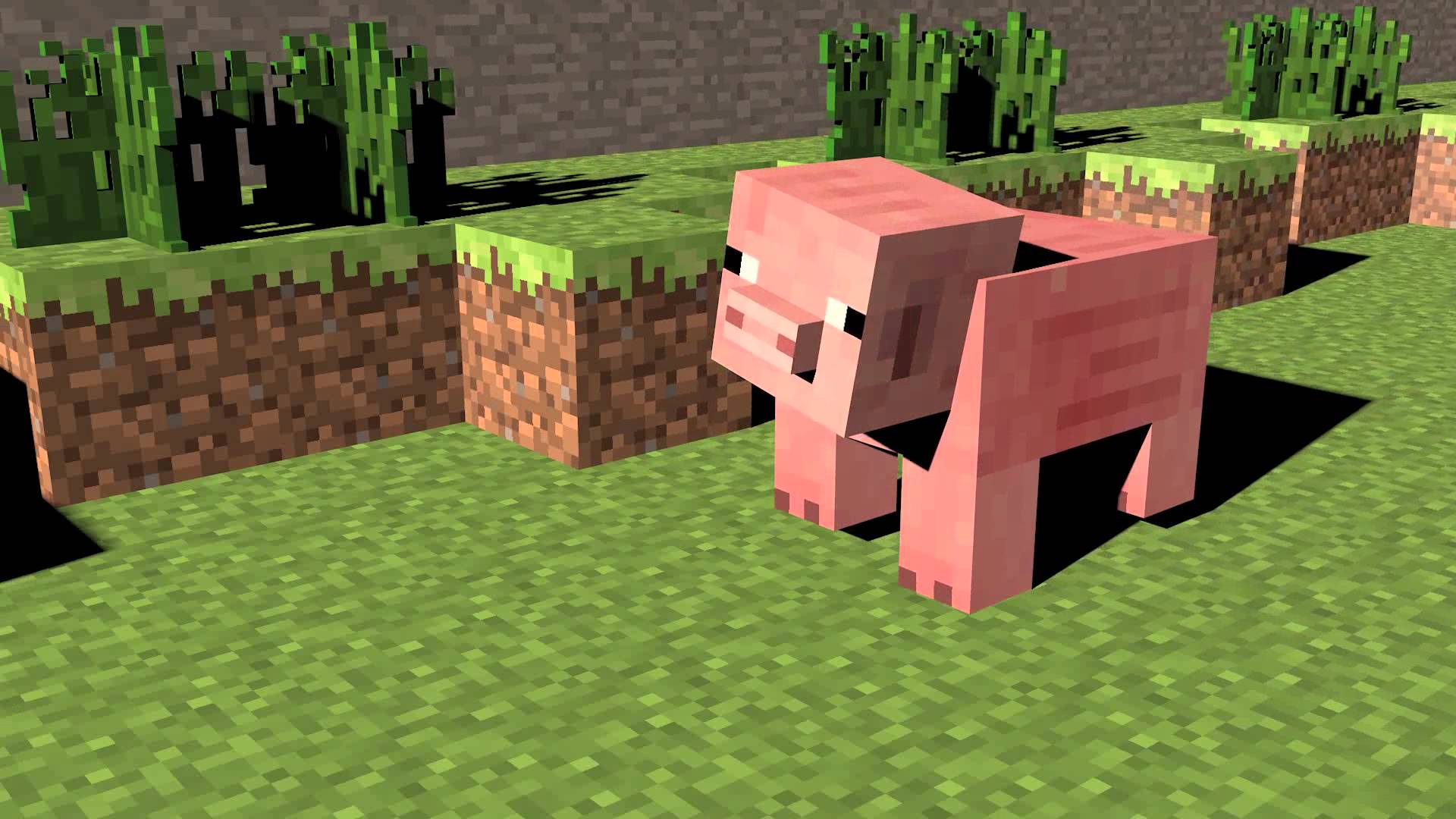 Minecraft Pig Wallpaper
