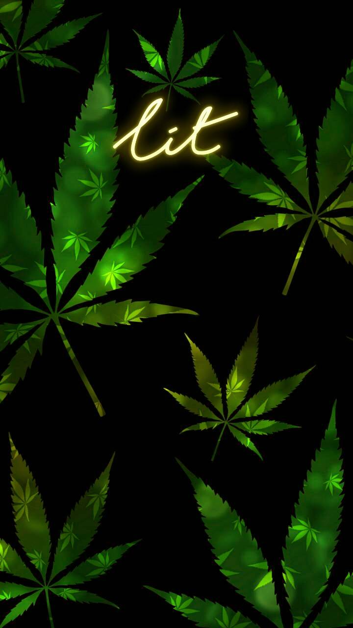 Stay High wallpaper