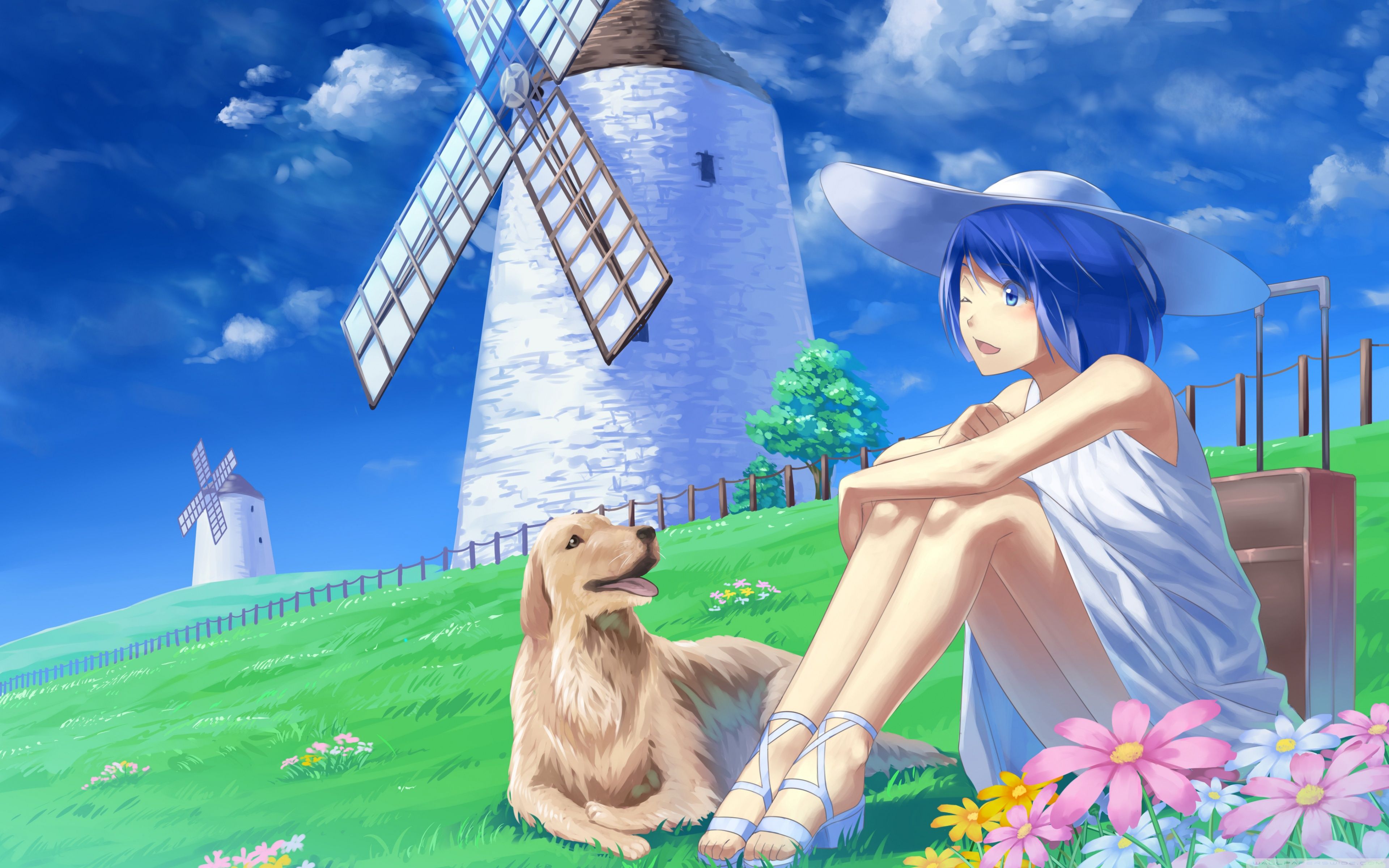 Anime Girl With Her Pet Dog Ultra HD Desktop Background Wallpaper for 4K UHD TV, Widescreen & UltraWide Desktop & Laptop, Tablet