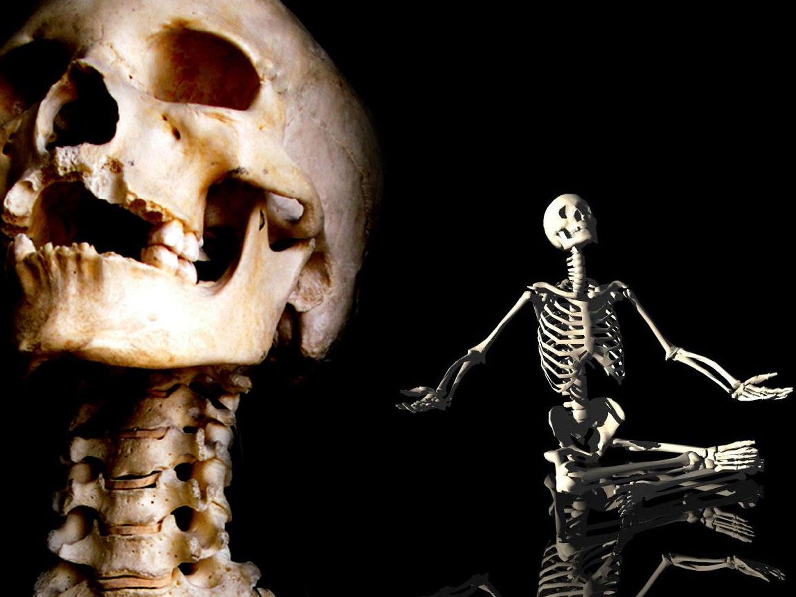 Human Skeleton HD Wallpaper