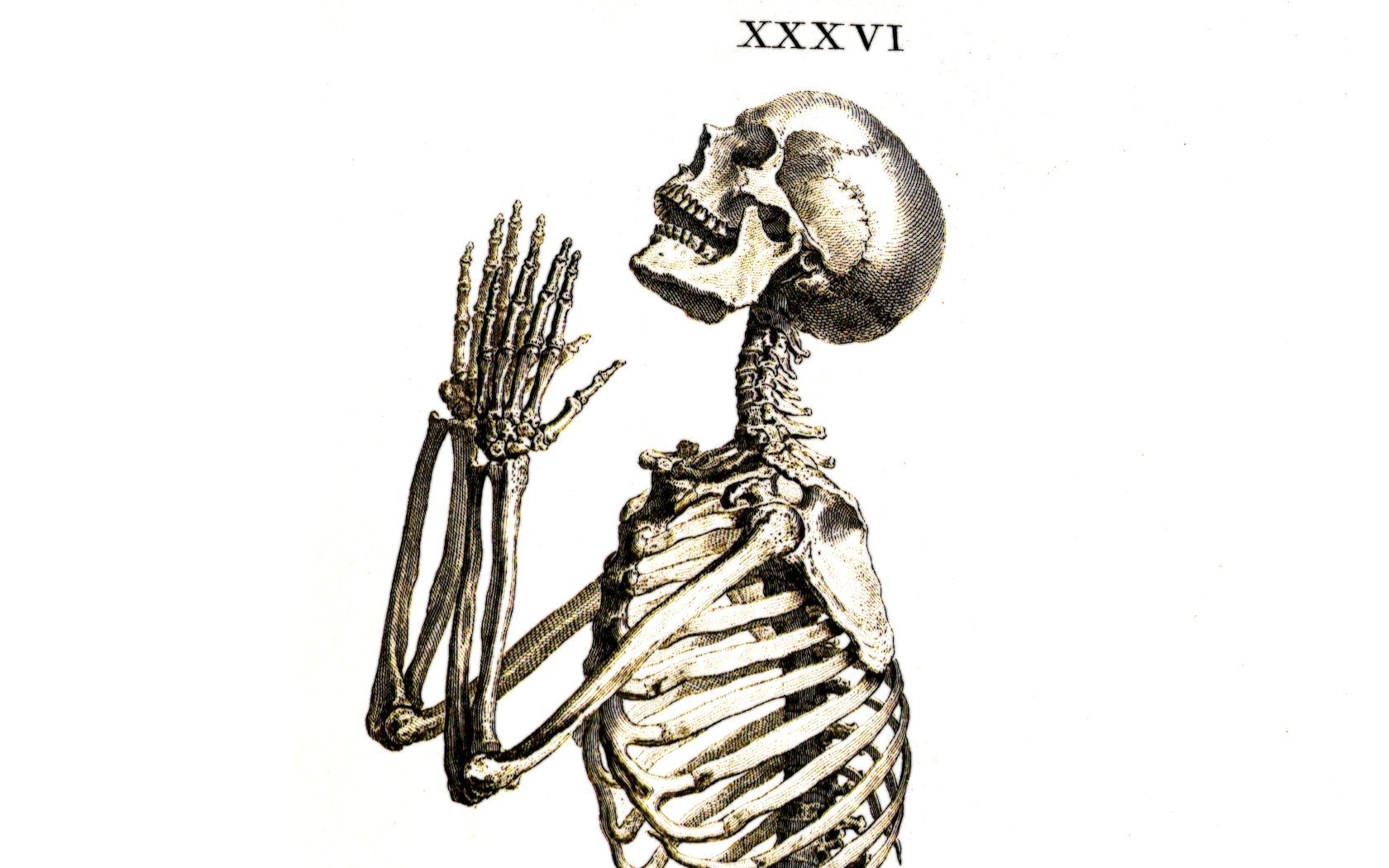 skeleton praying wallpaper. Praying Skeletons Skeleton Wallpaper General dancing. Free download picture, Humanoid sketch, Hand illustration