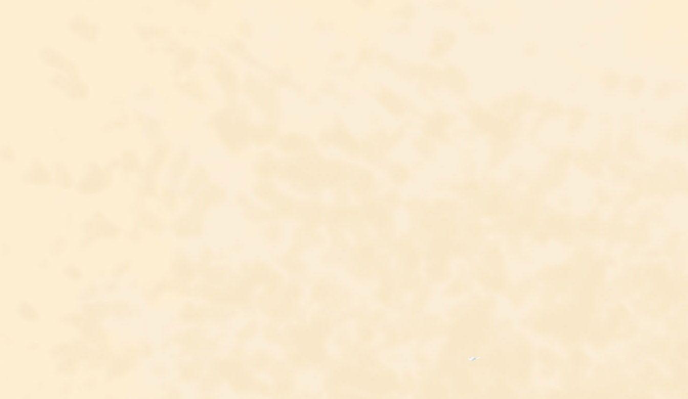 Free download Plain Cream Color Background The [1344x780] for your Desktop, Mobile & Tablet. Explore Cream Colored Wallpaper. Cream Wallpaper for Living Room, Black and Cream Wallpaper, Gold