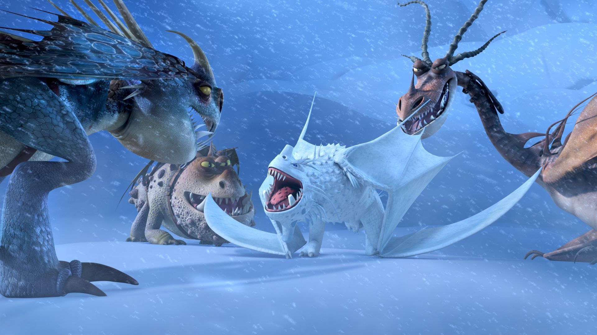 Go Back to Berk With 'Dragons: Race to the Edge'