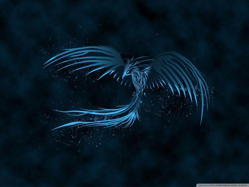 Download Blue Phoenix HD Wallpaper. Fond ecran, Oiseaux, Photo