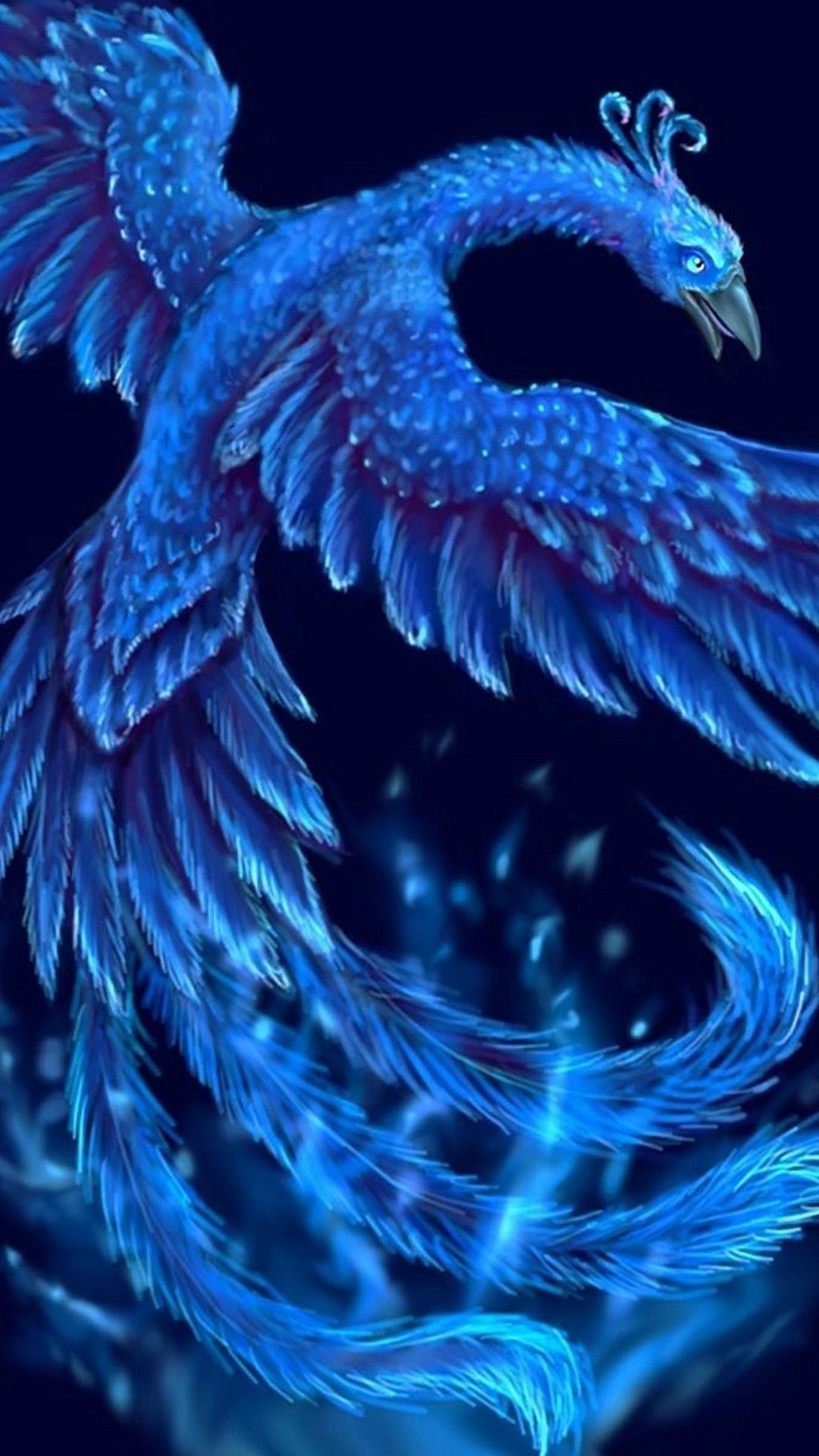 blue phoenix bird wallpaper