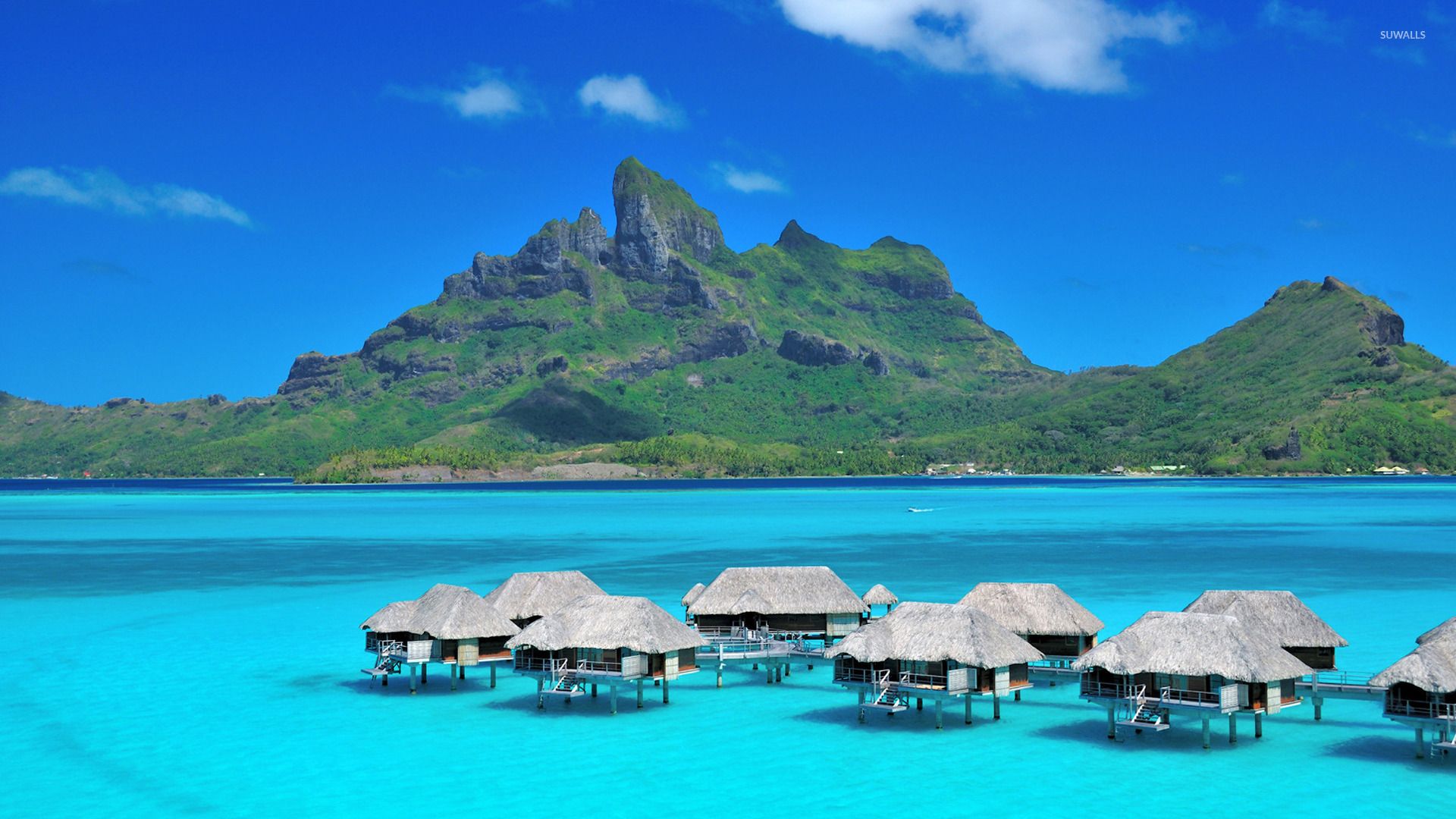 The St. Regis Bora Bora Resort wallpaper wallpaper