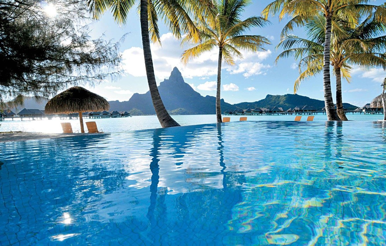 Wallpaper Palm Trees, The Ocean, Pool, Resort, French Polynesia, Bora Bora Image For Desktop, Section природа