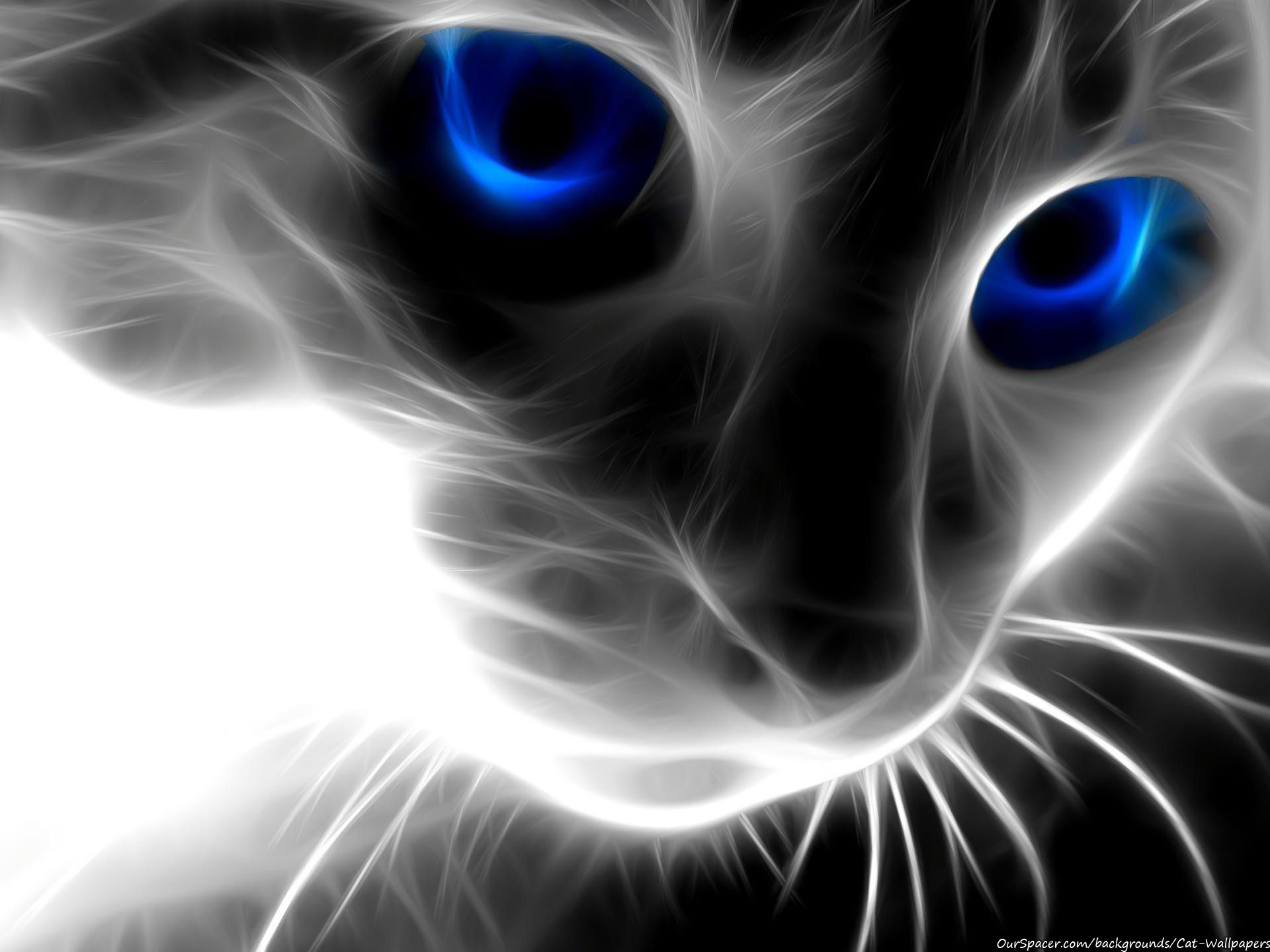 Transparent cat made of light with blue eyes wallpaper and background for myspace and twitter layouts